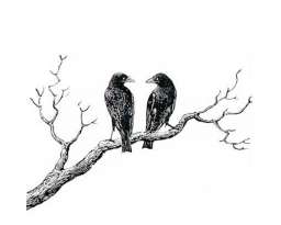 White Raven Estate Sales, LLC