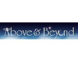 Above & Beyond Estate Sales