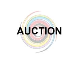 Auction STORM