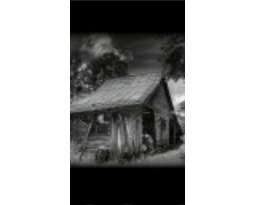 Georgia Pickers Estate Sales
