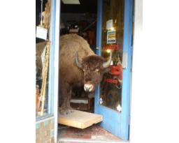 Hunter's Antiques