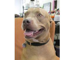 Scooters Treasures Auction Hall