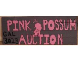 The Pink Possum Auction