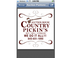 Country Pickins Auction Hall
