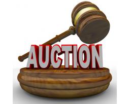 Tosch Auction Service