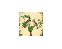 Birds of a Feather Estate Sales