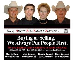 Aesoph Real Estate & Auction, Inc.
