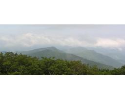 North Georgia Estate Sales, LLC