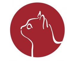 Animal House Cat Rescue and Adoption Center