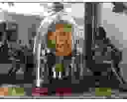 A.G.M.ExpressEstateSale