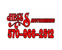 Hess's Auctioneering