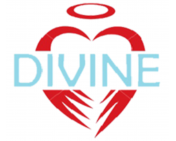 Divine Estate Sales & Services LLC