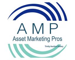 Asset Marketing Pros-Trinity Auction Gallery