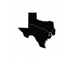 Bayou City Sales and Auction