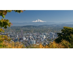 Clean Sweep Estate Services, inc.