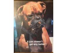 Memphis Estate Sales Company