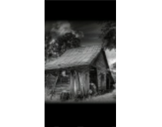 Georgia Pickers Estate Sales