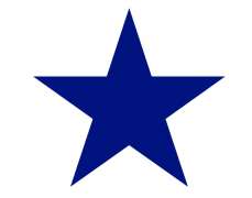 All Star Estate Liquidation Service