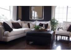 Estate sales of Tampa Bay