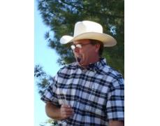 Wayne Patrick Auctioneers