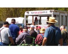 Park Lake Auctions
