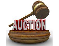 Tosch Auction Service