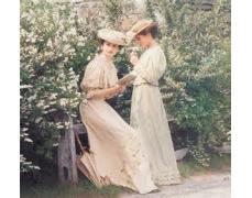 Willows and Magnolias