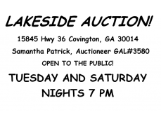 Lake Side Auction & Liquidation