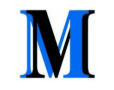 Morris Auction Group