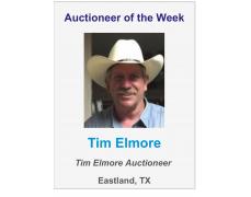 Tim Elmore Auctions