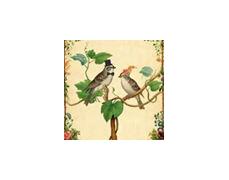 Birds of a Feather Estate Sales