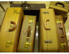 WildHare Estate Sales