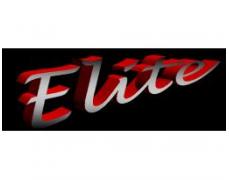 Elite Auto Auction & Sales LLC