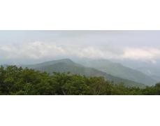North Georgia Estate Sales, LLC