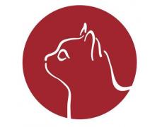 Animal House Cat Rescue and Adoption Center