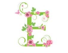 Eleanors Estate Sales and Liquadators, LLC