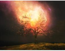 Wildfire Auction & Estate Sale Company, LLC.  Jacoby Chapman AL# 5453