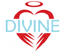 Divine Estate Sales & Services LLC