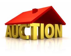 Hidden Treasures Auction House
