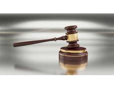 Estate Auction Company