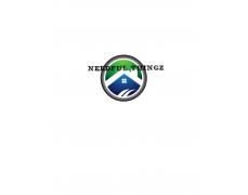 Needful Thingz LLC