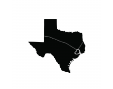 Bayou City Sales and Auction