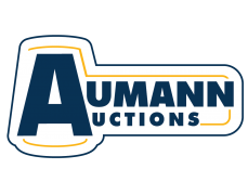 Aumann Auctions