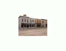 Blissfield antiques & liquidations